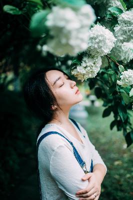 花房姑娘免费观看全集,姑娘视频在线观看中国电影